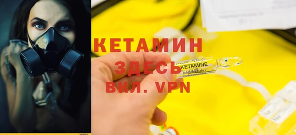 трава Аркадак