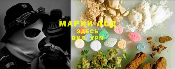 трава Аркадак
